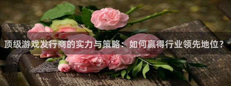 火狐电竞平台代理条件：顶级游戏发行商的实力与策略：如何赢得行业领先地位？