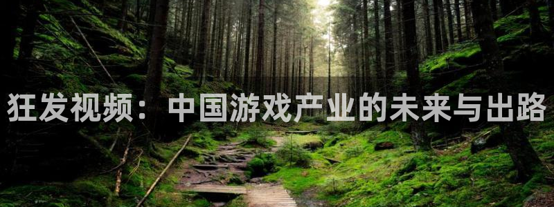 火狐电竞app官网子财经丛书
