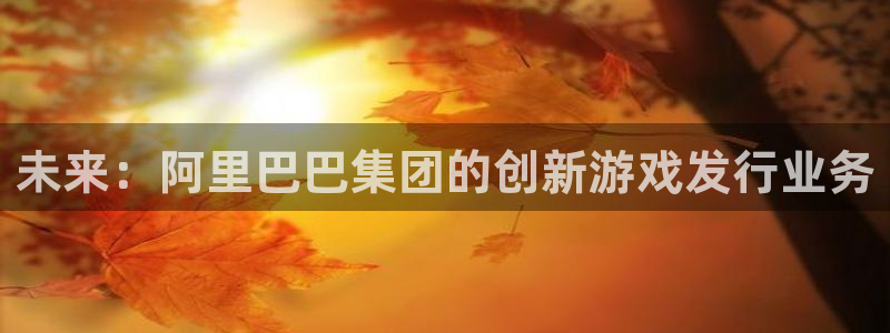 四川火狐电竞app官网科技有限公司怎么样