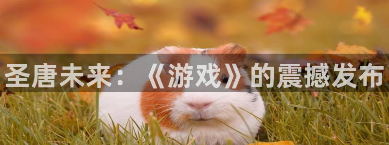 火狐电竞app官网子公司怎么样