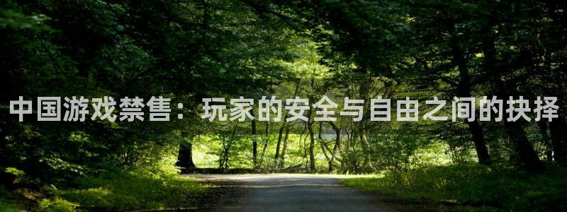 火狐电竞app官网集团品牌策划机构：中国游戏禁售：玩家的安全与自由之间的抉择