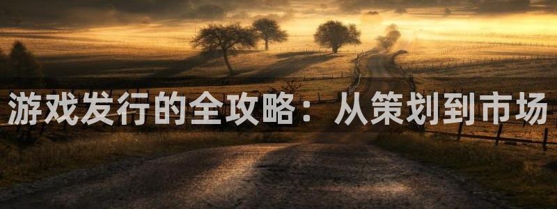 火狐电竞注册平台官网下载：游戏发行的全攻略：从策划到市场