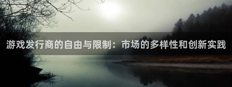 火狐电竞注册方法视频下载：游戏发行商的自由与限制：市场的多样性和创新实践