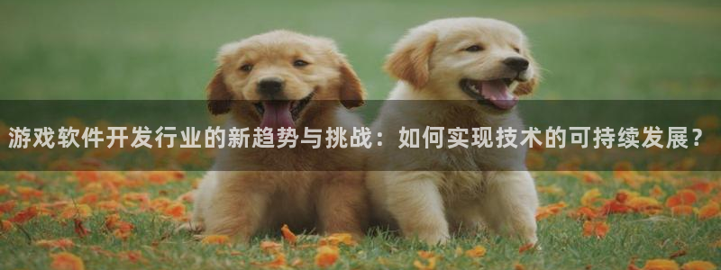 火狐电竞分分彩：游戏软件开发行业的新趋势与挑战：如何实现技术的可持续发展？