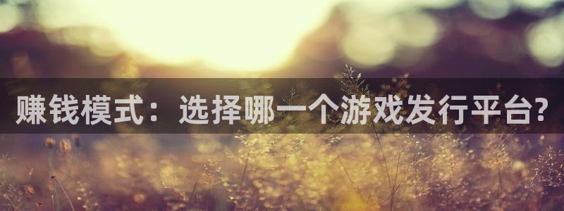 火狐电竞注册平台是什么意思