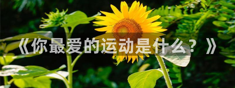 bbin视讯游戏平台