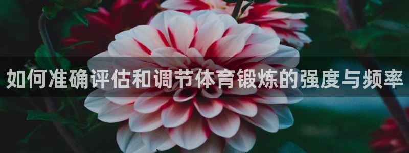 bbin视讯