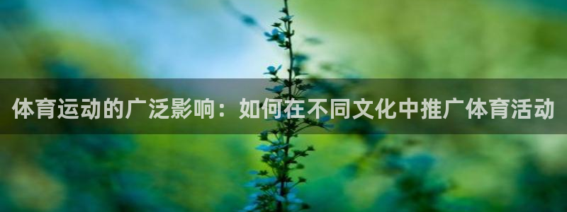bbin视讯游戏官网