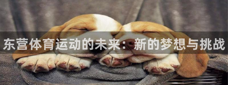 bbin视讯游戏官网